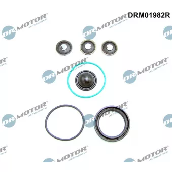 Kit de réparation (pompe à haute pression) Dr.Motor DRM01982R