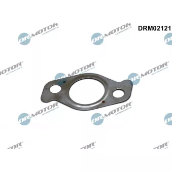 Joint, vanne EGR Dr.Motor