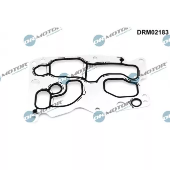 Joint, radiateur d'huile Dr.Motor DRM02183