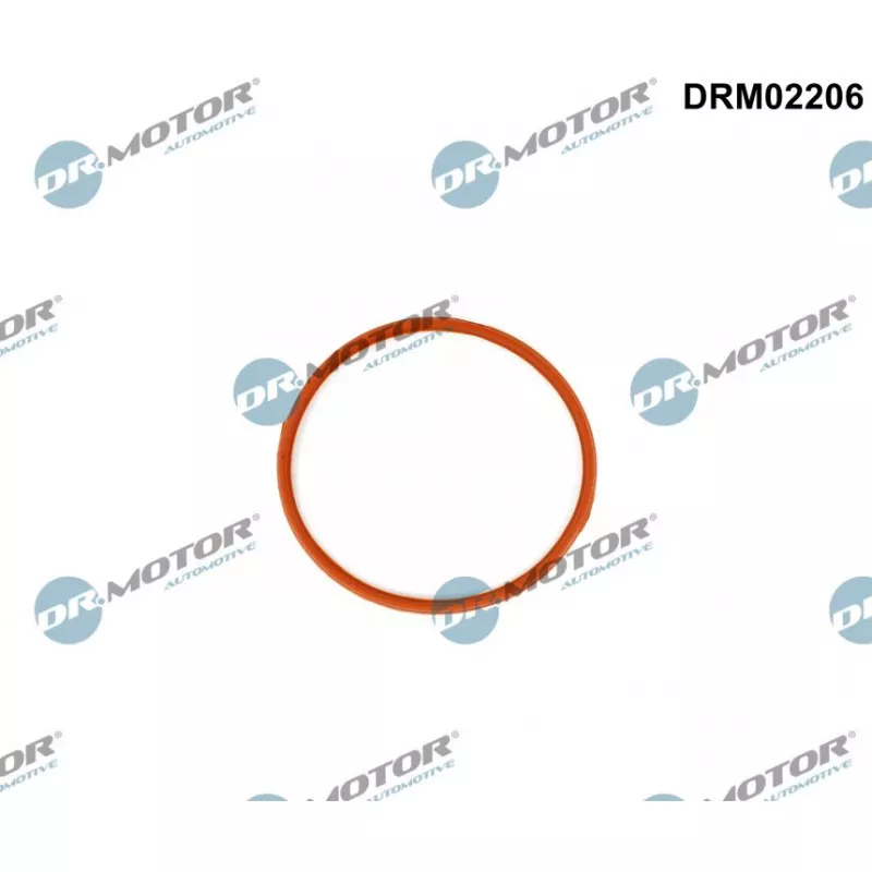 Joint d'étanchéité, collecteur d'admission Dr.Motor DRM02206