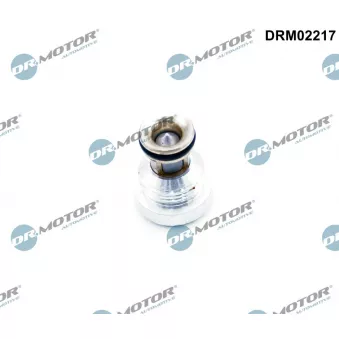 Soupape de retenue Dr.Motor DRM02217