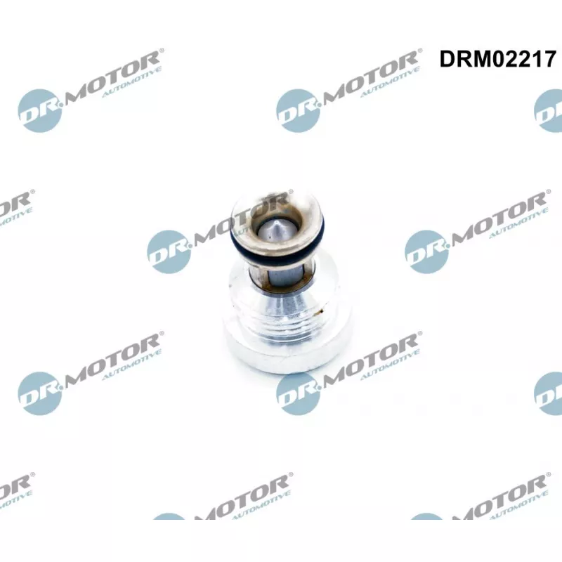 Soupape de retenue Dr.Motor DRM02217