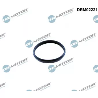 Joint d'étanchéité, tendeur de chaîne de distribution Dr.Motor DRM02221