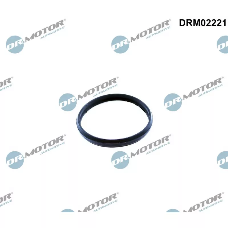 Joint d'étanchéité, tendeur de chaîne de distribution Dr.Motor DRM02221