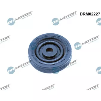 Bague d'étanchéité, vilebrequin Dr.Motor DRM02227