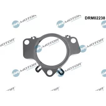 Joint d'étanchéité, collecteur d'admission Dr.Motor DRM02238