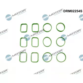Jeu de joints d'étanchéité, collecteur d'admission Dr.Motor DRM02254S
