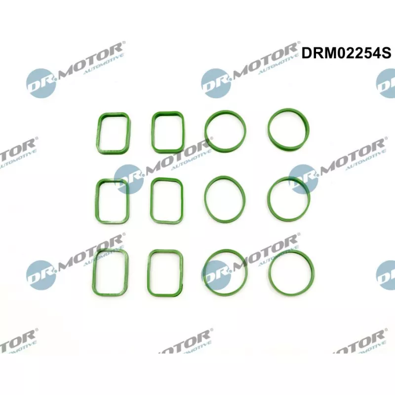 Jeu de joints d'étanchéité, collecteur d'admission Dr.Motor DRM02254S