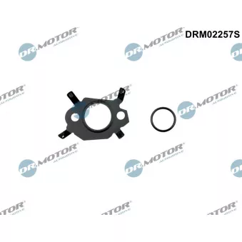 Jeu de joints d'étanchéité, système EGR Dr.Motor DRM02257S
