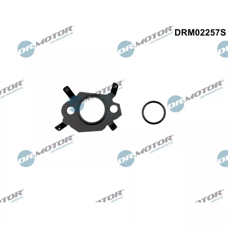 Jeu de joints d'étanchéité, système EGR Dr.Motor DRM02257S