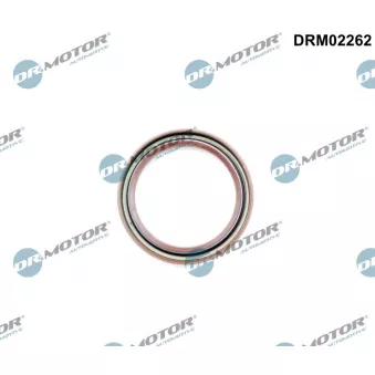Bague d'étanchéité, vilebrequin Dr.Motor DRM02262