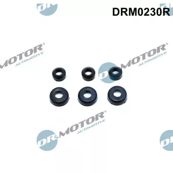 Joint d'étanchéité, vis de couvercle de culasse Dr.Motor DRM0230R