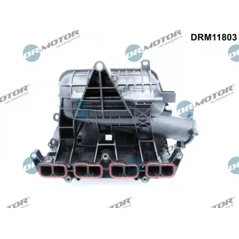 Module de tube d'admission Dr.Motor DRM11803