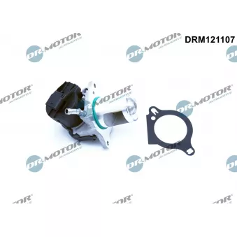 Vanne EGR Dr.Motor DRM121107