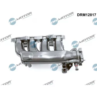 Module de tube d'admission Dr.Motor DRM12817