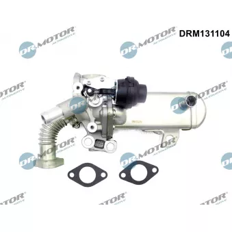 Module-EGR Dr.Motor DRM131104