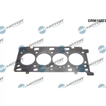 Joint d'étanchéité, culasse Dr.Motor DRM15223