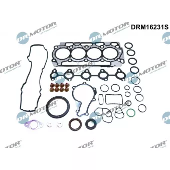 Pochette moteur complète Dr.Motor DRM16231S