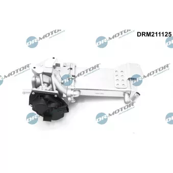 Vanne EGR Dr.Motor