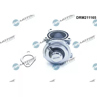Vanne EGR Dr.Motor DRM211165