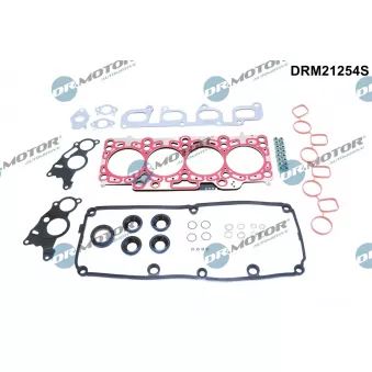 Pochette moteur complète Dr.Motor DRM21254S