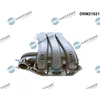 Module de tube d'admission Dr.Motor DRM21821