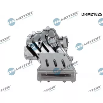 Module de tube d'admission Dr.Motor DRM21825