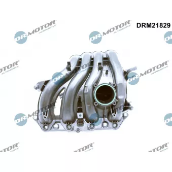 Module de tube d'admission Dr.Motor DRM21829
