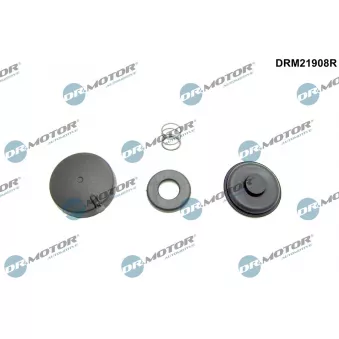 Kit de réparation, ventilation du carter-moteur Dr.Motor DRM21908R