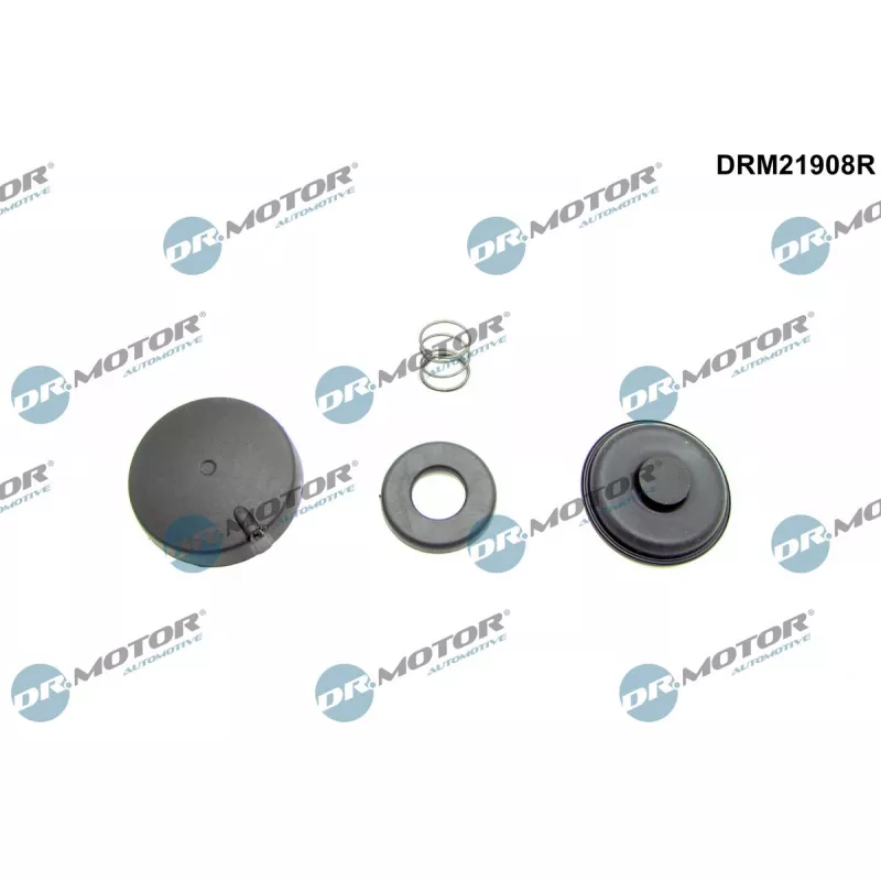 Kit de réparation, ventilation du carter-moteur Dr.Motor DRM21908R
