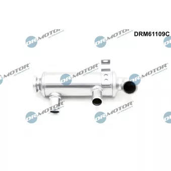 Radiateur, réaspiration des gaz d'échappement Dr.Motor DRM61109C