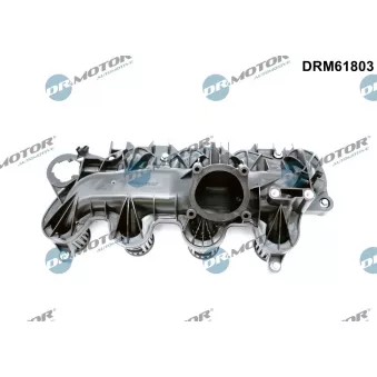 Module de tube d'admission Dr.Motor DRM61803