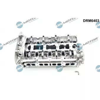 Culasse de cylindre Dr.Motor DRM6403