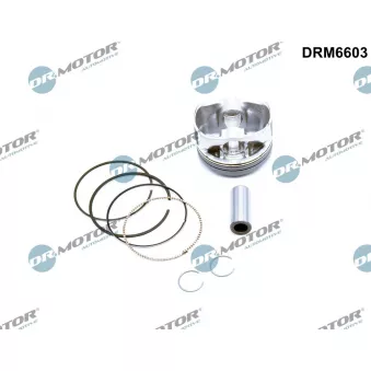 Piston Dr.Motor DRM6603