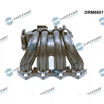 Module de tube d'admission Dr.Motor DRM8801