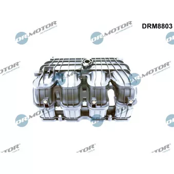 Module de tube d'admission Dr.Motor DRM8803