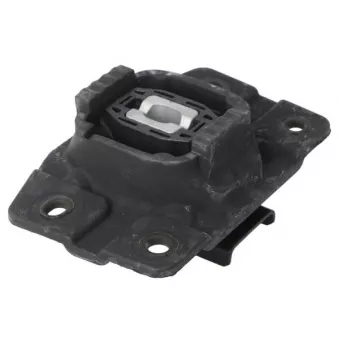 Suspension, boîte de vitesse manuelle REINHOCH RH12-0045
