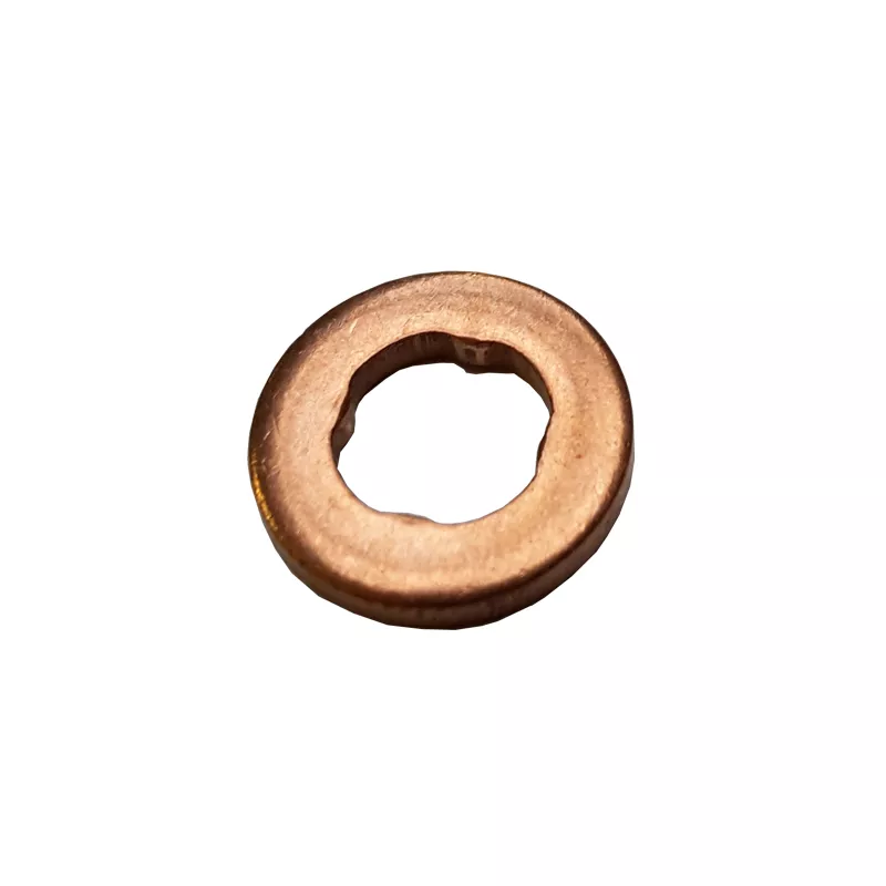 Joint d'étanchéité, porte-injecteur DÜRER GI452420bl4