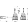 Ampoule, projecteur de travail OSRAM 64211DWBRT-2HFB - Visuel 2