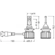 Ampoule, projecteur de travail OSRAM 9005DWBRT-2HFB - Visuel 2