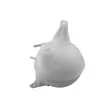 Vase d'expansion, liquide de refroidissement TEKNÖR CZW-FR-018 - Visuel 1