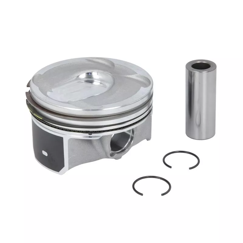 Piston NE 130021001200