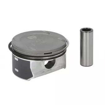 Piston NE 7135585000