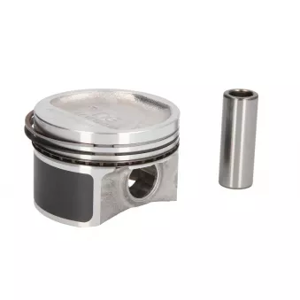 Piston NE 130020001220