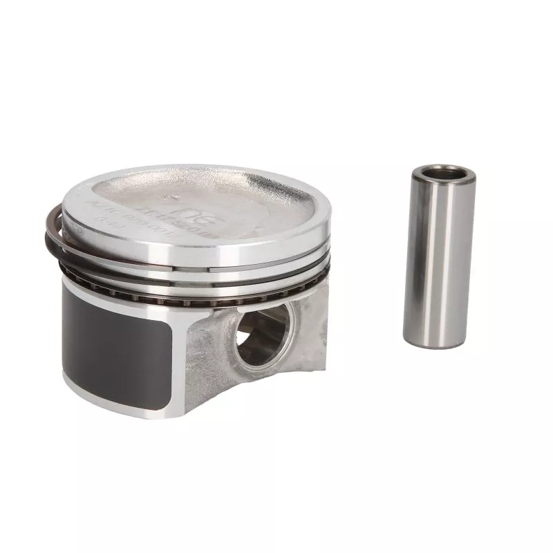 Piston NE 130020001220