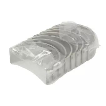 Kit de coussinets de bielle NE 6107570000