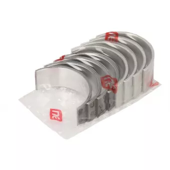 Kit de coussinets de bielle NE 6138500000