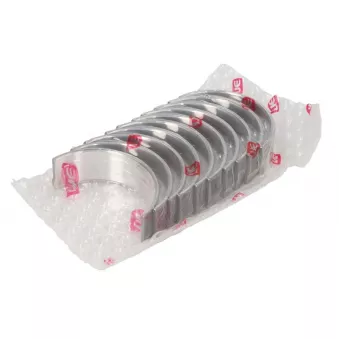 Kit de coussinet de vilebrequin NE 6035082000