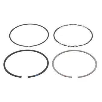Jeu de segments de pistons NE 8950690000