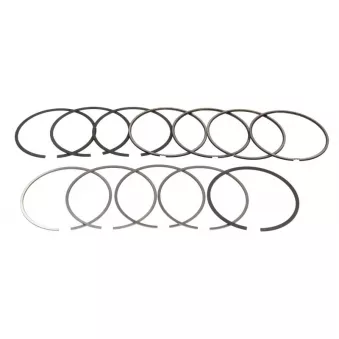 Jeu de segments de pistons NE 7924090000